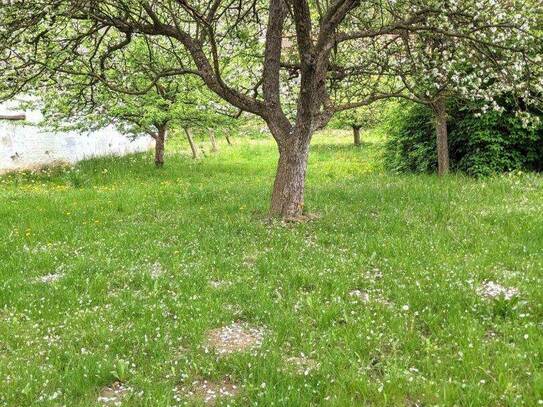 Einfamilienhaus mit ländlichem Charme und Flair mit großem, grünen Garten und Obstbäumen in kleinem, aber feinem Dorf K…