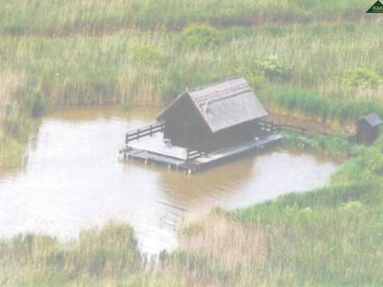 EINZIGARTIGE ALLEINRUHELAGE - UNEINSEHBAR - IM NEUSIEDLER SEE - AUF PACHTGRUND MIT BOOTSANLEGEPLATZ