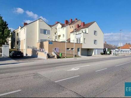 4-Zimmerwohnung im EG mit Loggia