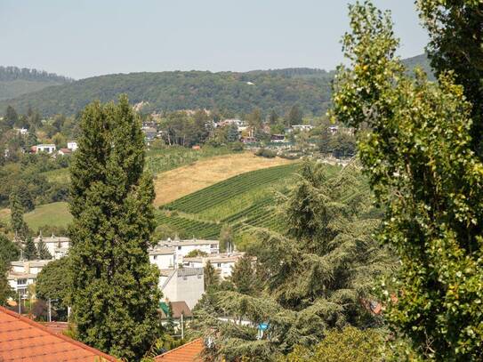 WEINBERGE und WIENBLICK: Schöner können Sie nicht wohnen!