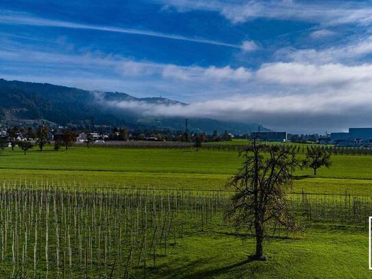 Raumwunder - Reihenhaus mit Weitblick