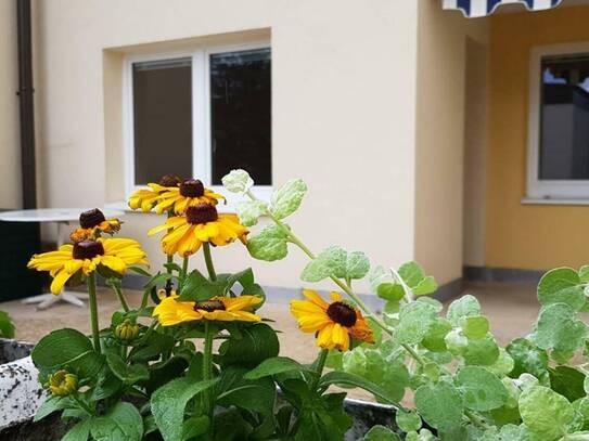 Vor kurzem komplett adaptierte 3- Zimmer- Wohnung mit großer Terrasse in Badener Top-Grünruhelage