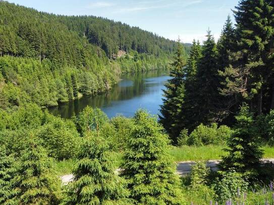 Naturjuwel am Soboth-Stausee in Alleinlage