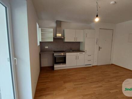 Ideal für Pärchen! Neuwertige 2-Zimmer Wohnung mit Balkon nahe der Innpromenade zu vermieten!