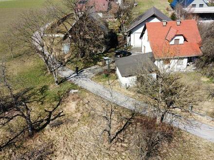 Landwirtschaft mit Altbestand, Wohnhaus, Wirtschaftsgebäuden, Wäldparzellen und Wiesen