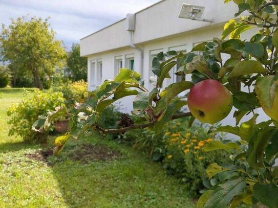 Geförderter Barrierefreier Bungalow! WOHNEN IN DER ÖSTERREICHISCHEN TOSKANA, SÜDBURGENLAND!