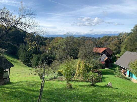 Landwirtschaft in absoluter Ruhe- und Alleinlage Nähe St. Johann im Saggautal (Steirische Toskana)