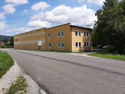 Betriebsgrundstück mit Produktions- und Lagerhallen bei Loosdorf