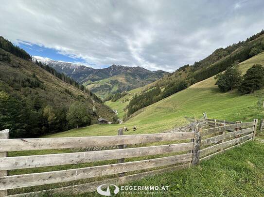 Land- und Forstwirtschaft (ca. 11,9 ha) mit gesamter Hofstätte in ruhiger Lage von Rauris zu verkaufen