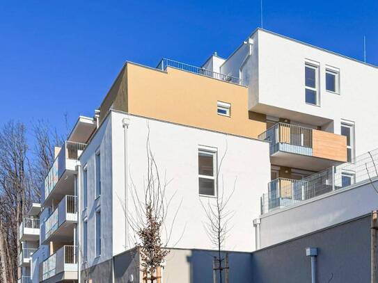 Dachterrassenhit mit spektakulären Ausblick