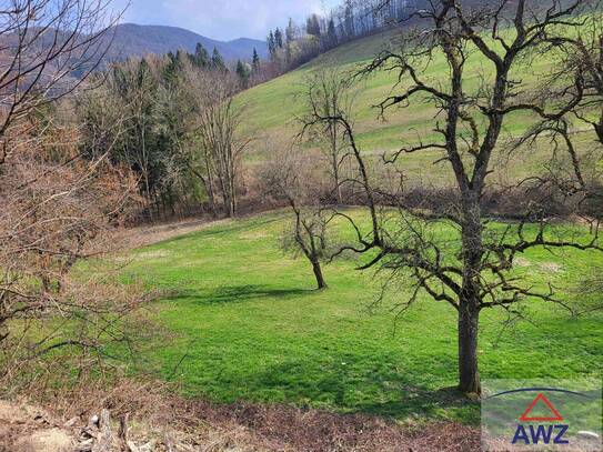 Bauernhof mit ca. 32 Hektar arrondiertem Grund in Alleinlage im Voralpengebiet!