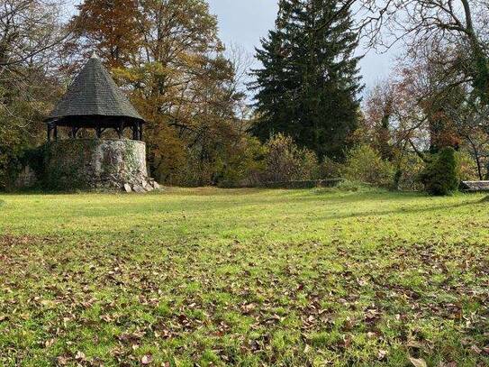 Absolute Rarität für Altbauliebhaber! Burgruine mit wunderschönen Burggarten!