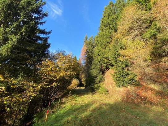 Schönes Waldgrundstück oberhalb des Millstätter Sees