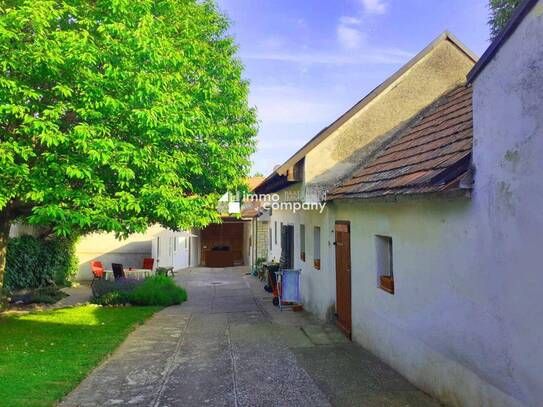 Großzügiges, vollrestauriertes Weinhauerhaus in absoluter Ruhelage direkt am Naturschutzgebiet