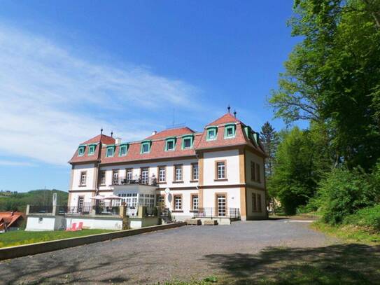 Altbau-Villa in idylischer Lage am Park, Loftartige 3ZI mit Grünblick, PP