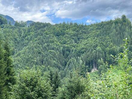 * 170 ha Eigenjagd mit schönem Bauernhof am Eingang des Gesäuses *