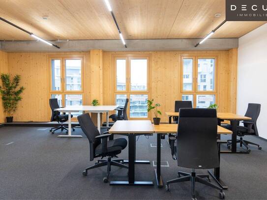 + + + Büroflächen und Co-working in Business-Center | SEESTADT + + +