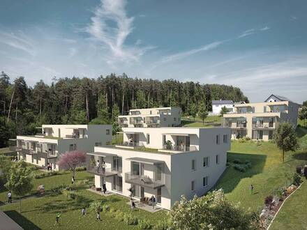 PROVISIONSFREI - Pischelsdorf Bau 13&14 - geförderte Miete - 4 Zimmer