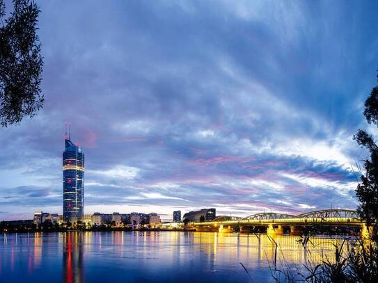 MILLENNIUM TOWER - Moderne Büros mit Weitblick