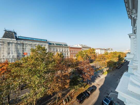 Luxuriöse Altbauwohnung im Palais Schottenring