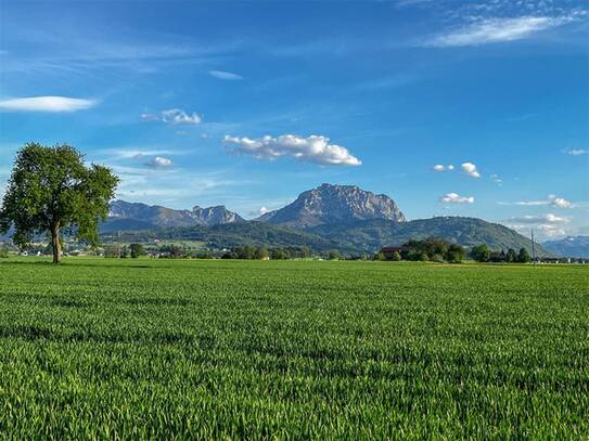 Land & Gut: Genehmigter Wohn- & Lebenstraum in Alleinlage.