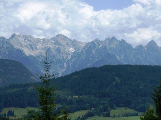 Naturschönheit in Tirol - Landwirtschaftliche Fläche mit 7600m² in Fieberbrunn!