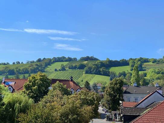 Beste Zentrumslage-Stiftnähe, herrlicher Weinbergblick, 2 Terrassen