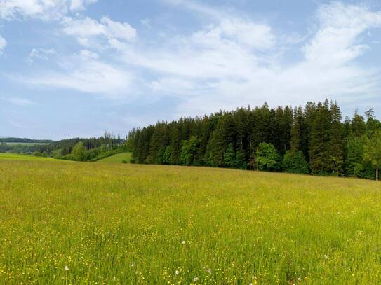 Landwirtschaftliche Flächen