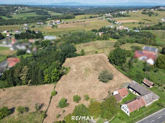 sanierungsbedürftiger Dreikanthof mit 1,9 ha Eigengrund im Südburgenland