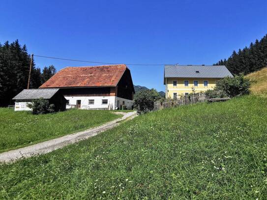 Bauernhof - 27.500m² Hofstelle mit umliegenden Wiesenflächen und Wald