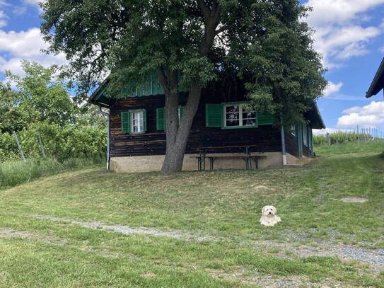 Wunderschöne Lage in den Weinbergen - Weinkeller mit Potential !