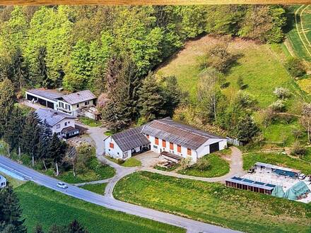 7,5ha Bauernhof mit Wohnhaus, Kellerstöckl, 2 Wirtschaftsgebäuden, Landwirtschaftliche Nutzfläche, Wald