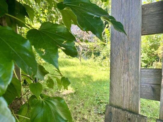 Traum vom eigenen Garten in zentraler Lage verwirklichen!