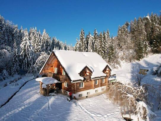 Luxuriöses Eco-Chalet mit privatem Schwimmteich in Nötsch im Gailtal