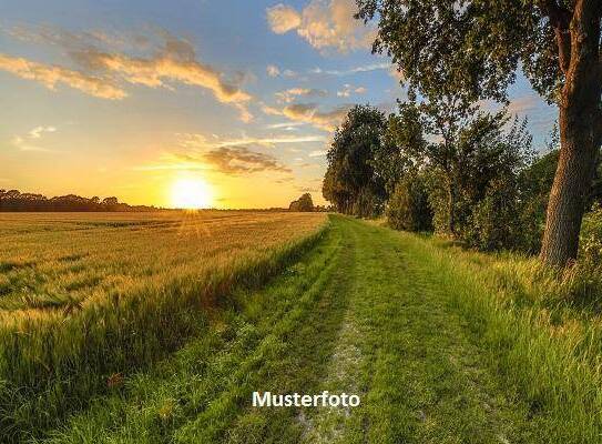 Hofstelle mit Waldgrundstück