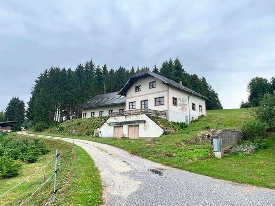 Großzügiges Landhaus in Streusiedlungslage