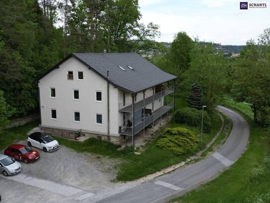 VERMIETET - MEGA RENDITE! TOLLE RENOVIERTE 2-ZIMMER-WOHNUNG! GROSSZÜGIGES WOHN/SCHLAFZIMMER IN WEST-AUSRICHTUNG! ENTZÜC…