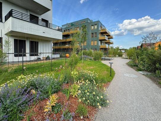 Neubau - Familienwohnung mit großem Balkon in Ruhelage - Nähe FH Campus Wien