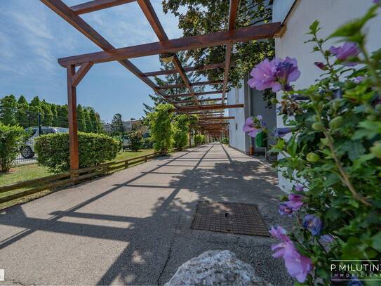 NEU in Wiener Neudorf++Südseitige Dachgeschosswohnung mit Loggia – Ihr sonniges Zuhause++Wohnen im Grünen – Ideal für j…