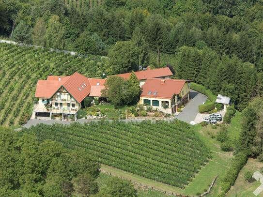 Charmante Immobilie in hügeliger Weinlandschaft sucht neuen Besitzer