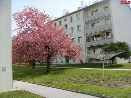 Wohnung im Hochparterre, supergroße Loggia, neues Bad!