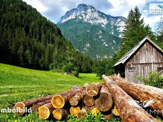 Wald- und Wiesengrundstücke in Arzl im Pitztal