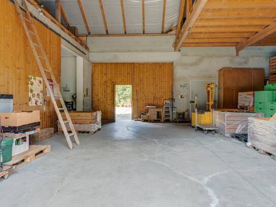 Bauernhof mit Gewerbeflächen * Lagerhallen * Landwirtschafts / Agrarflächen * direkt am Wald gelegen