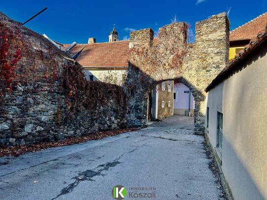 ALTBESTAND SAMT PROJEKT IN DER WACHAU BAUBEWILLIGT! Perfekte Lage im historischen Zentrum Krems Alt Rehberg, Teilbares…