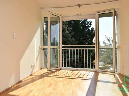 Wunderschöne, sonnige Wohnung mit französischem Balkon - Blick ins Grüne - Garten - Stellplatz! Auch als Privatordinati…