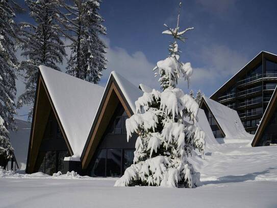 Buy-to-Let Alpine Lodges