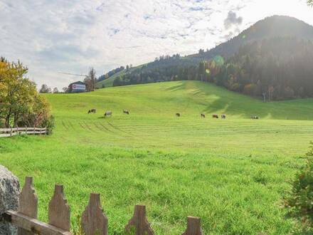 Großzügige Terrassenwohnung direkt an der Skipiste