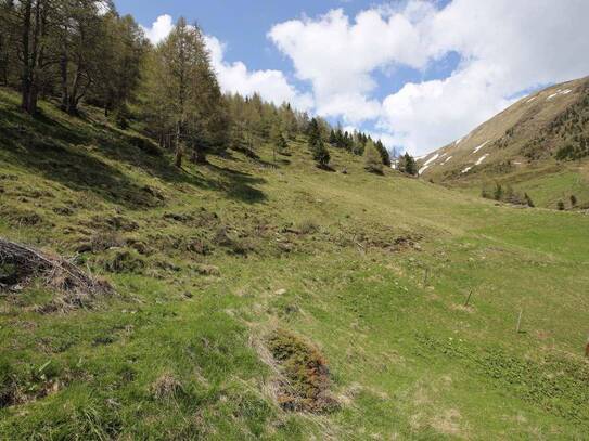 Almhütte mit Jagdbeteiligung in Oberkärnten zu verkaufen!