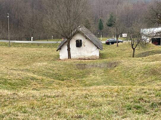 Großes Grundstück mit Altbestand (Winzerhaus) in schöner Ruhelage im Dreiländereck Österreich/Slowenien/Ungarn