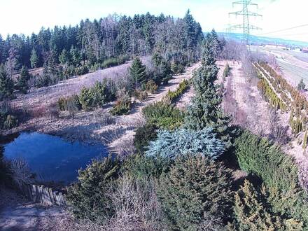 Landwirtschaftlicher Grund mit Lagerhütte